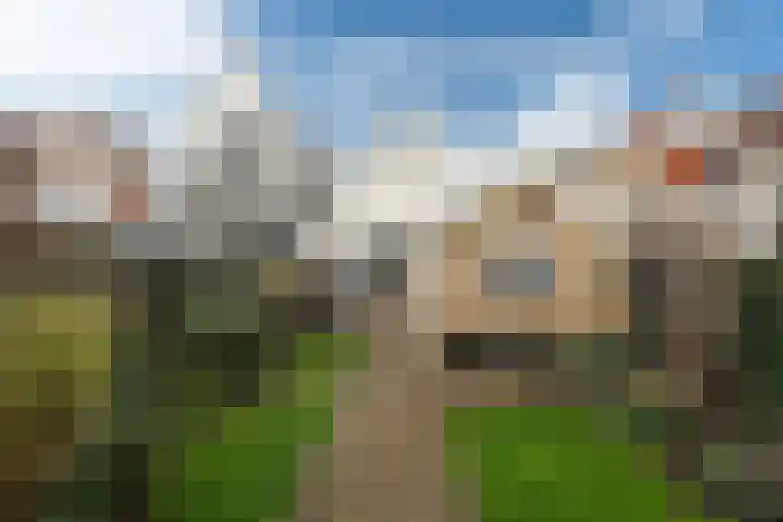 Kleine Dijlakker 25 Bolsward thumbnail 24