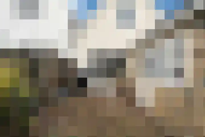 Kleine Dijlakker 25 Bolsward thumbnail 25
