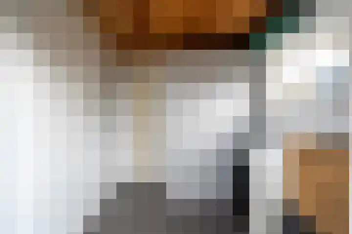 Kleine Dijlakker 25 Bolsward thumbnail 26