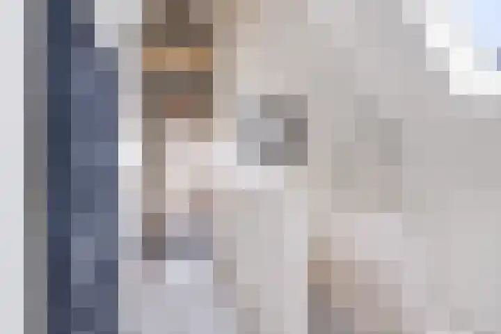 Kleine Dijlakker 25 Bolsward thumbnail 27