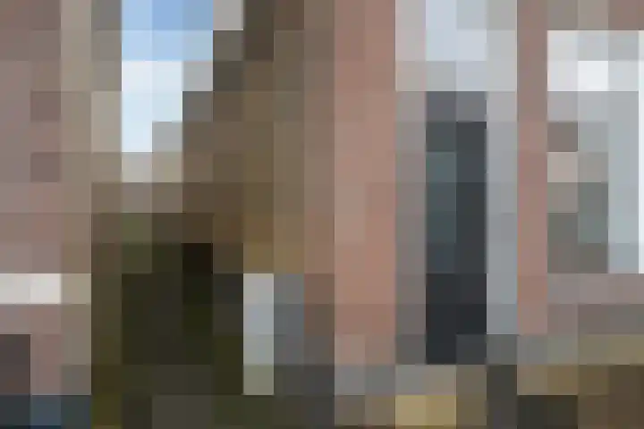 Kleine Dijlakker 25 Bolsward thumbnail 8