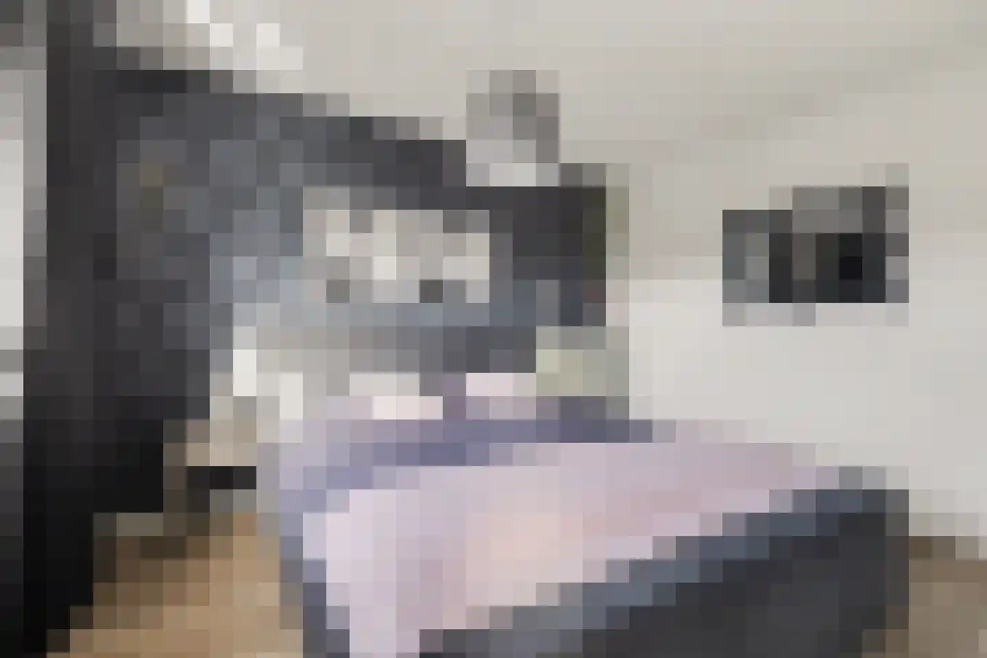 Kleine donk 29 Raamsdonksveer thumbnail 20