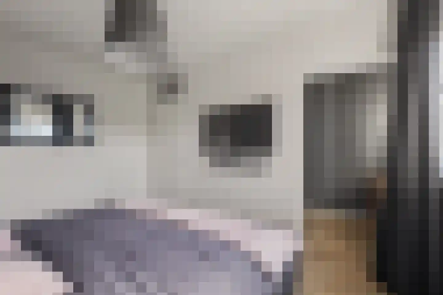 Kleine donk 29 Raamsdonksveer thumbnail 21