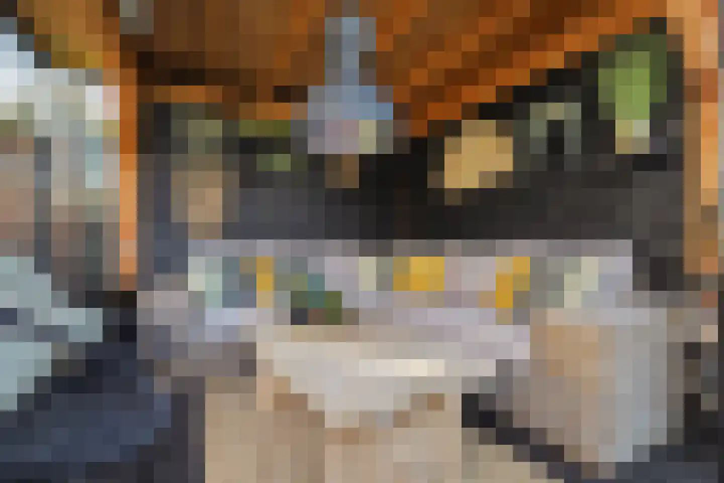 Kleine donk 29 Raamsdonksveer thumbnail 35
