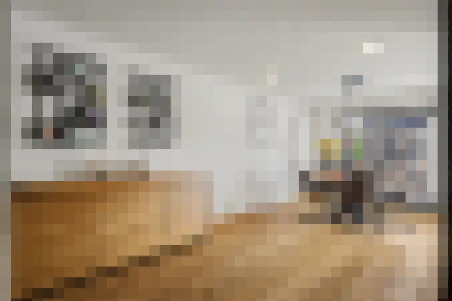 Kleine donk 29 Raamsdonksveer thumbnail 5