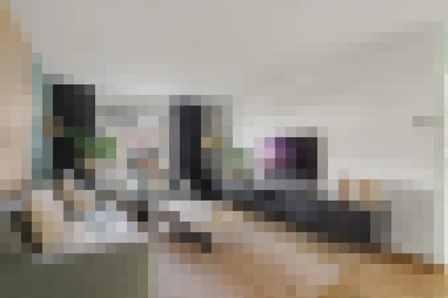 Kleine donk 29 Raamsdonksveer thumbnail 8