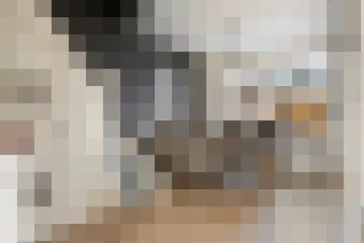 Kleine donk 34 Raamsdonksveer thumbnail 10