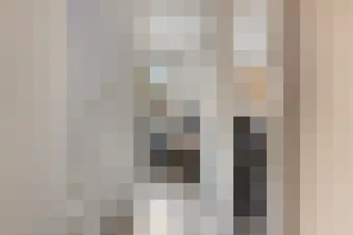 Kleine donk 34 Raamsdonksveer thumbnail 13