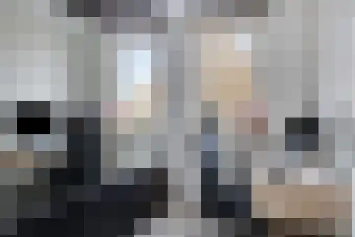 Kleine donk 34 Raamsdonksveer thumbnail 16