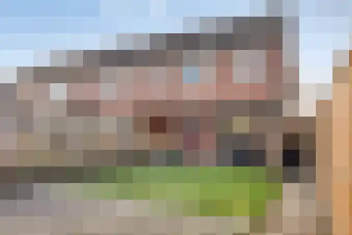 Kleine donk 34 Raamsdonksveer thumbnail 22