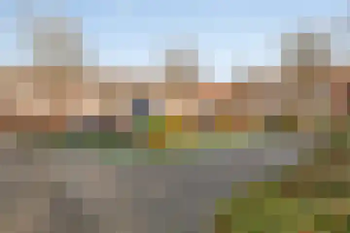 Kleine donk 34 Raamsdonksveer thumbnail 24
