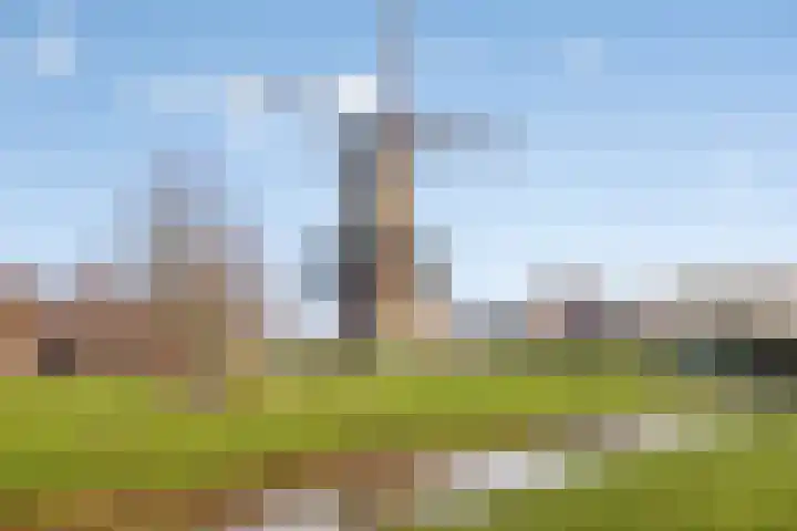 Kleine donk 34 Raamsdonksveer thumbnail 25