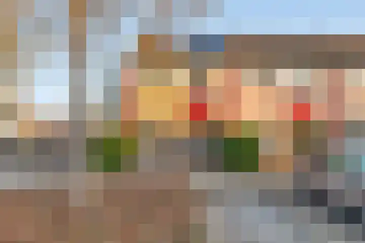 Kleine donk 34 Raamsdonksveer thumbnail 4
