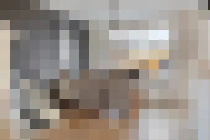 Kleine donk 34 Raamsdonksveer thumbnail 8