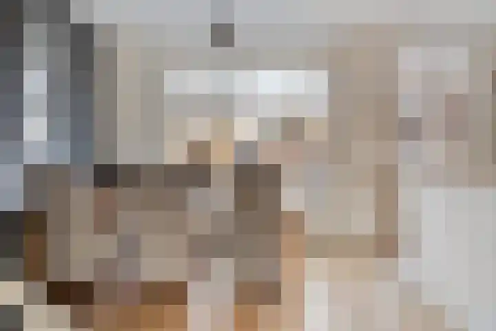 Kleine donk 34 Raamsdonksveer thumbnail 9