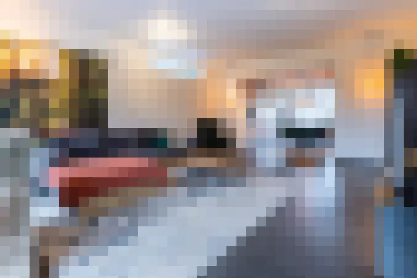Kleine Dorpsstraat 12 Ossendrecht thumbnail 15