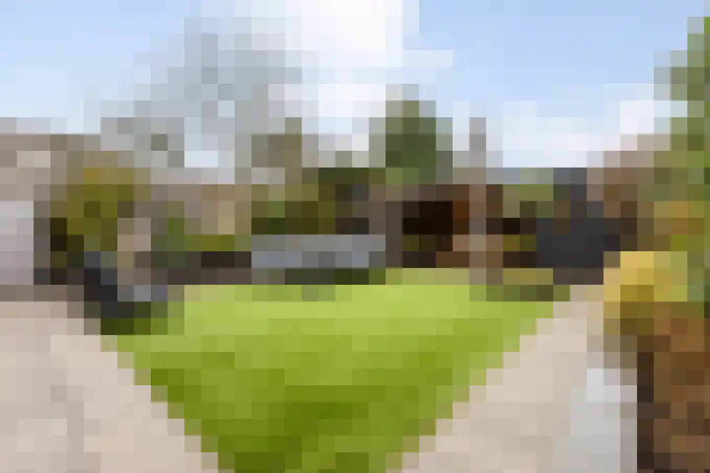 Kleine Dorpsstraat 12 Ossendrecht thumbnail 4