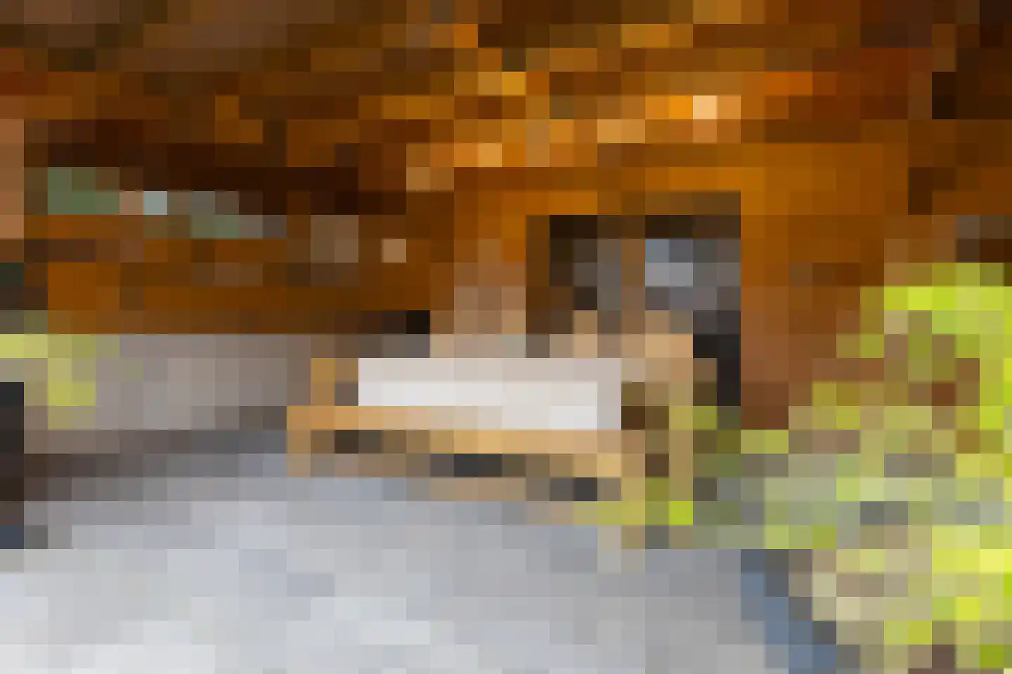 Kleine Dorpsstraat 12 Ossendrecht thumbnail 40