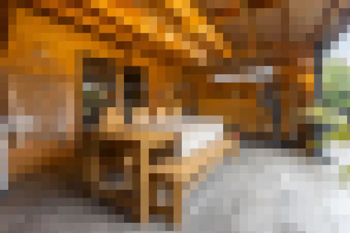 Kleine Dorpsstraat 12 Ossendrecht thumbnail 41