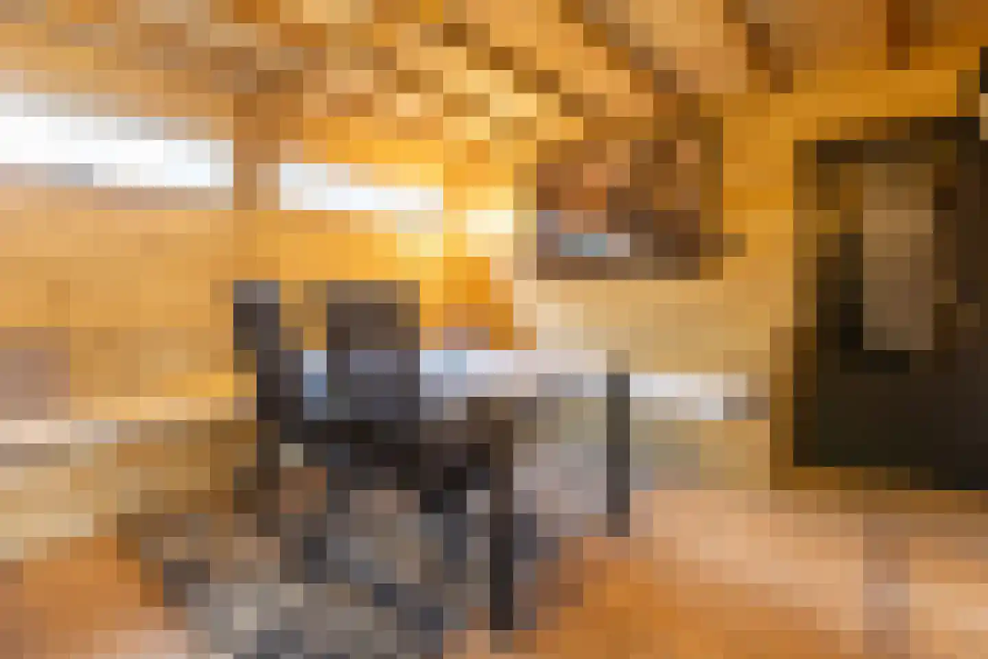 Kleine Dorpsstraat 12 Ossendrecht thumbnail 47