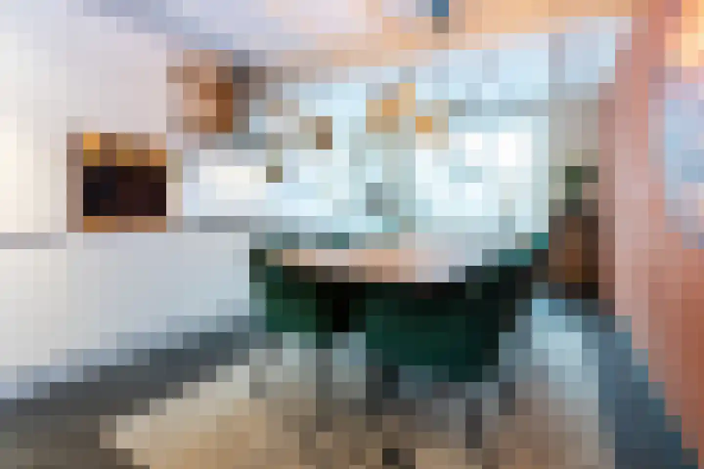 Kleine Dorpsstraat 12 Ossendrecht thumbnail 9
