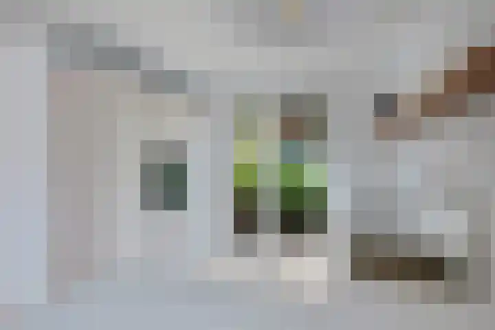 Kleine Dorpsstraat 22 Bergen (NH) thumbnail 11