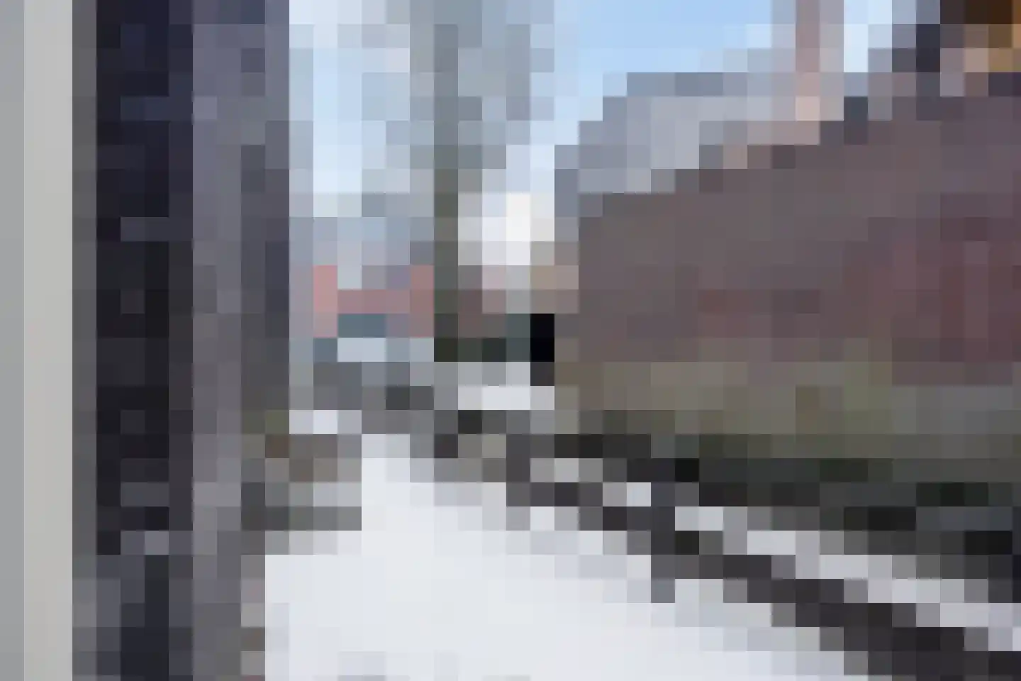 Kleine Dorpsstraat 4 B Bergen (NH) thumbnail 26