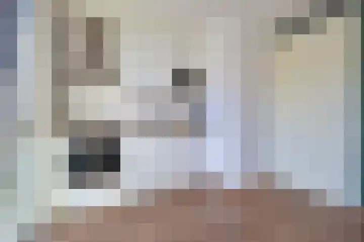 Kleine Dorpsstraat 4 F Bergen (NH) thumbnail 8