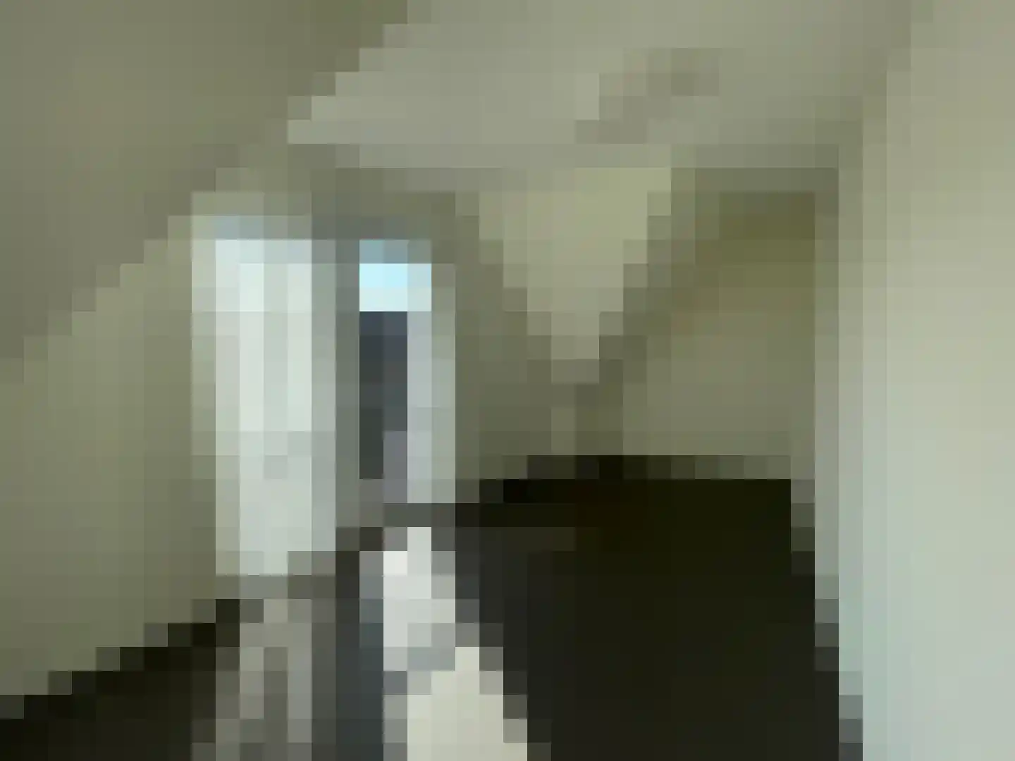 Kleine Dorpsstraat 4 G Bergen (NH) thumbnail 12