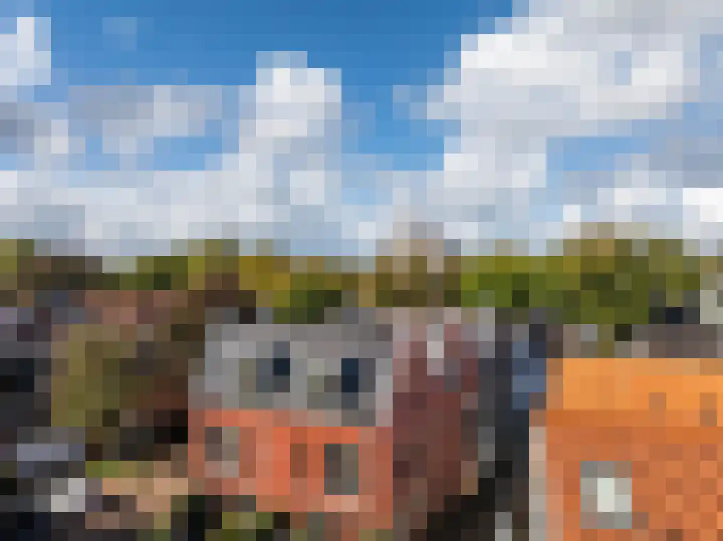 Kleine Dorpsstraat 4 G Bergen (NH) thumbnail 15
