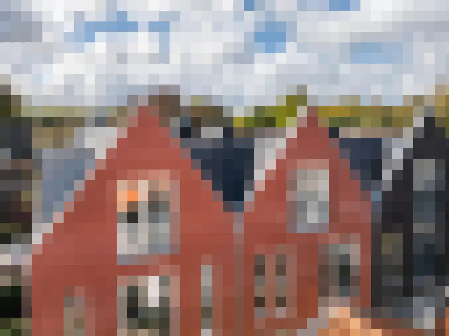 Kleine Dorpsstraat 4 G Bergen (NH) thumbnail 18