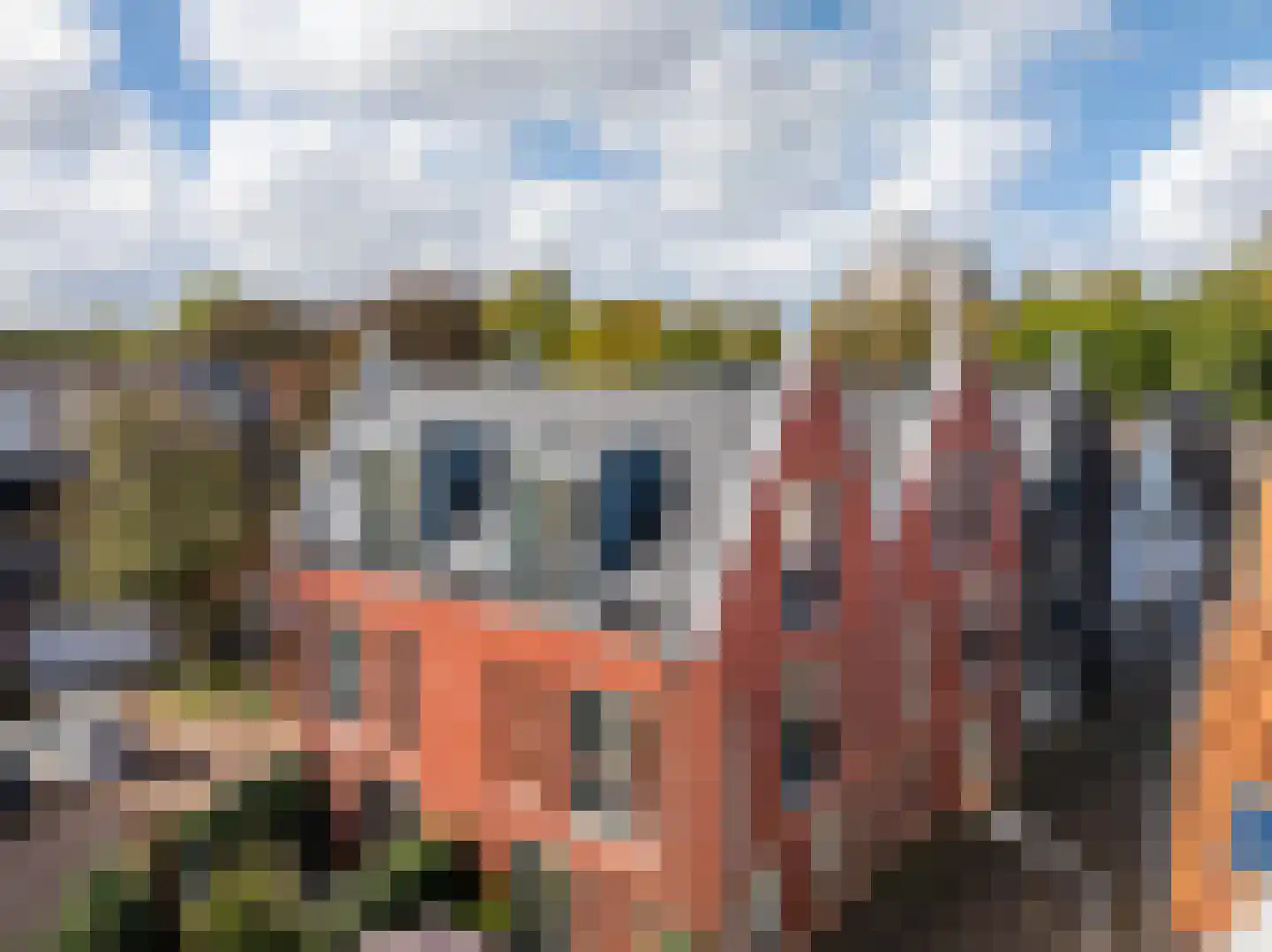 Kleine Dorpsstraat 4 G Bergen (NH) thumbnail 20
