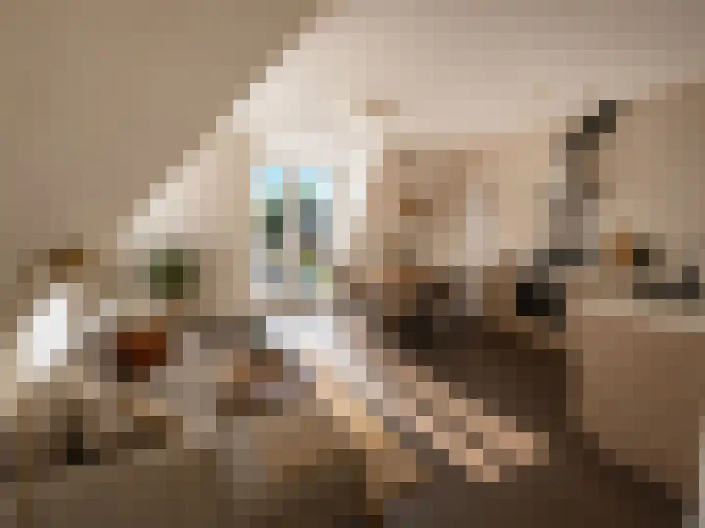 Kleine Dorpsstraat 4 G Bergen (NH) thumbnail 5