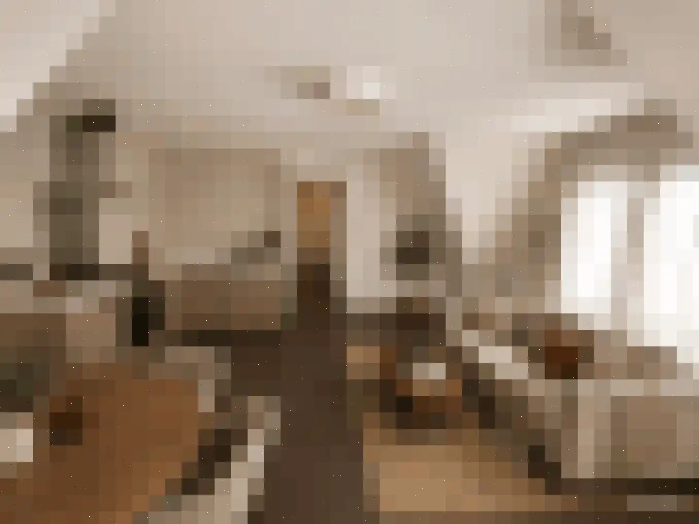 Kleine Dorpsstraat 4 G Bergen (NH) thumbnail 6