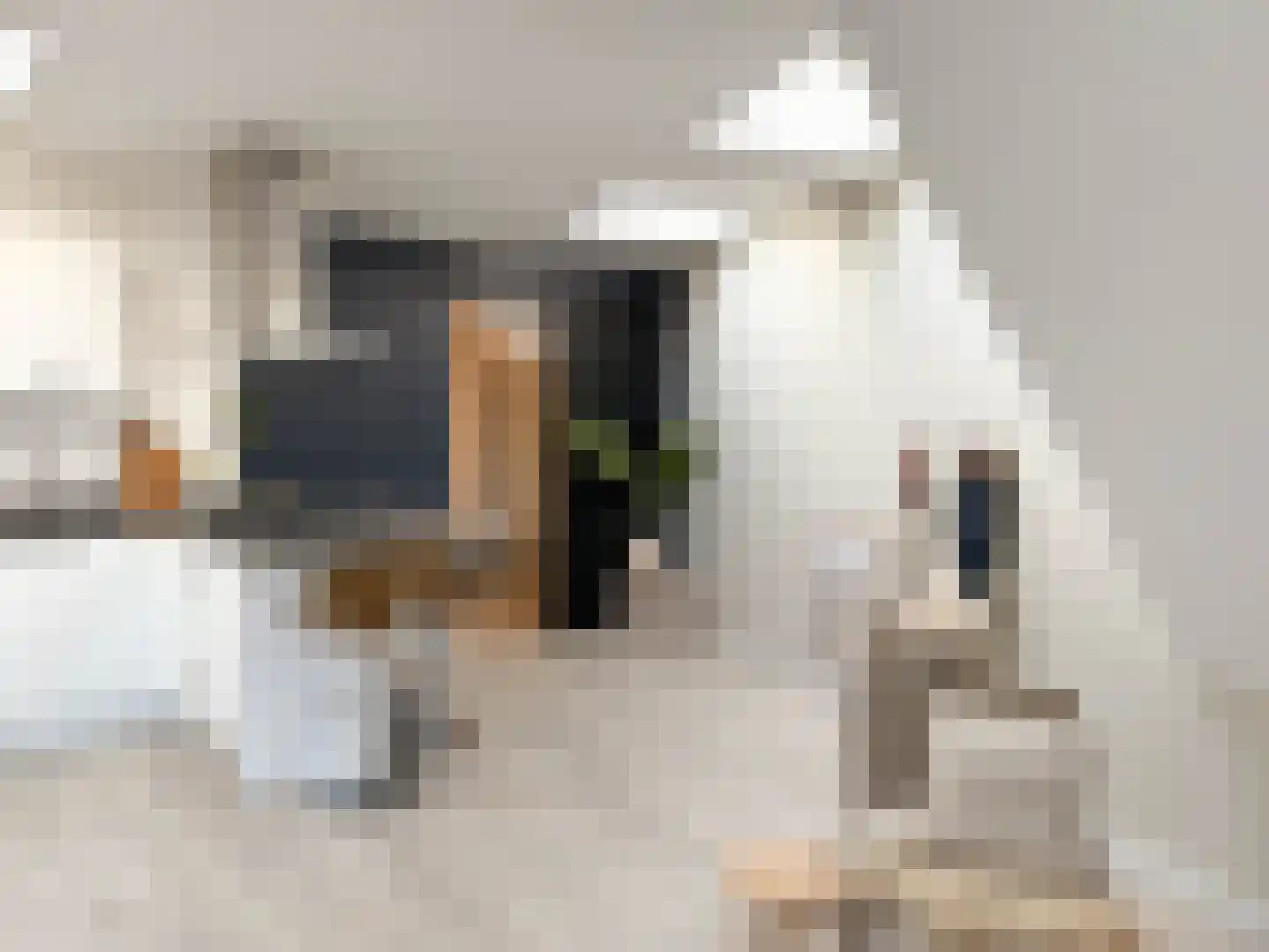 Kleine Dorpsstraat 4 K Bergen (NH) thumbnail 13