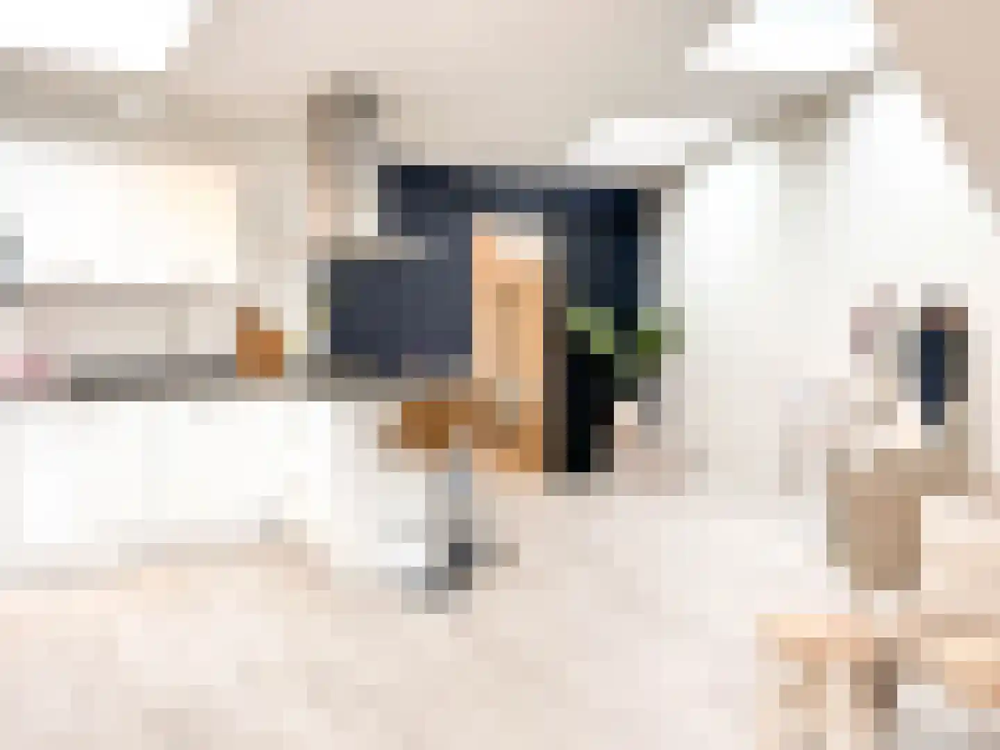 Kleine Dorpsstraat 4 K Bergen (NH) thumbnail 7
