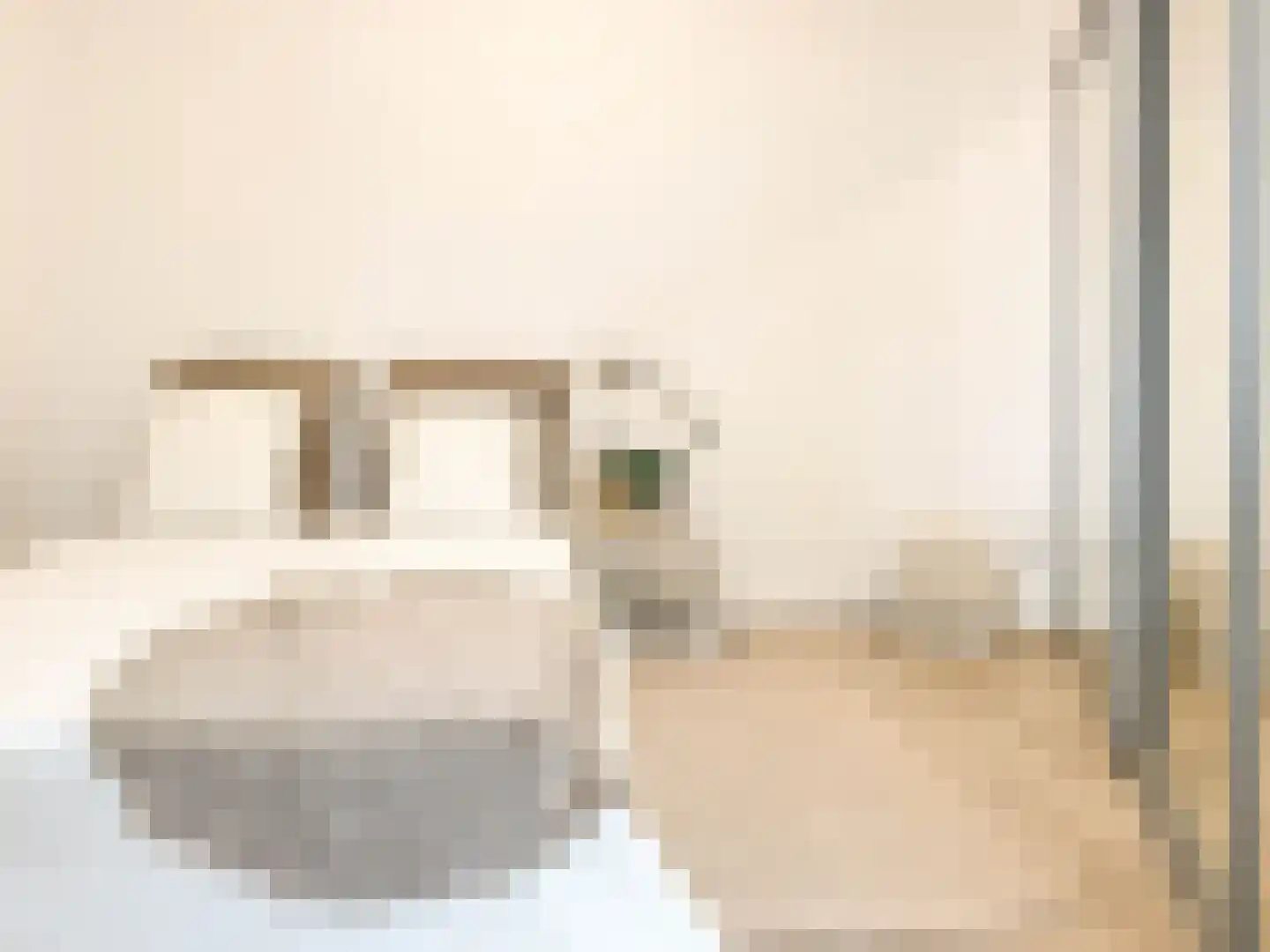 Kleine Dorpsstraat 4 K Bergen (NH) thumbnail 9