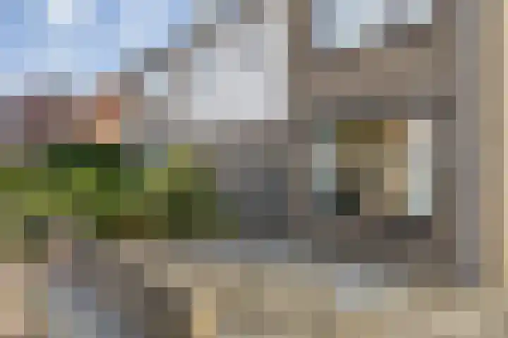 Kleine Dreef 2 Terheijden thumbnail 13