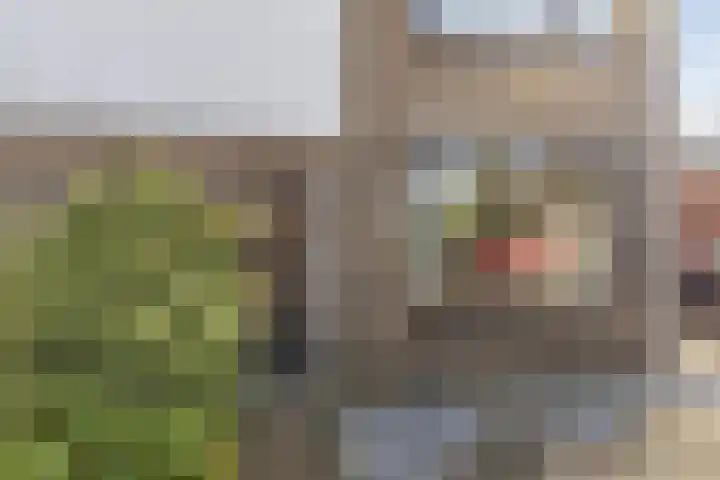 Kleine Dreef 2 Terheijden thumbnail 14