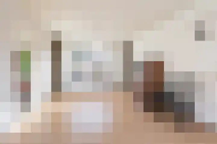 Kleine Dreef 2 Terheijden thumbnail 22