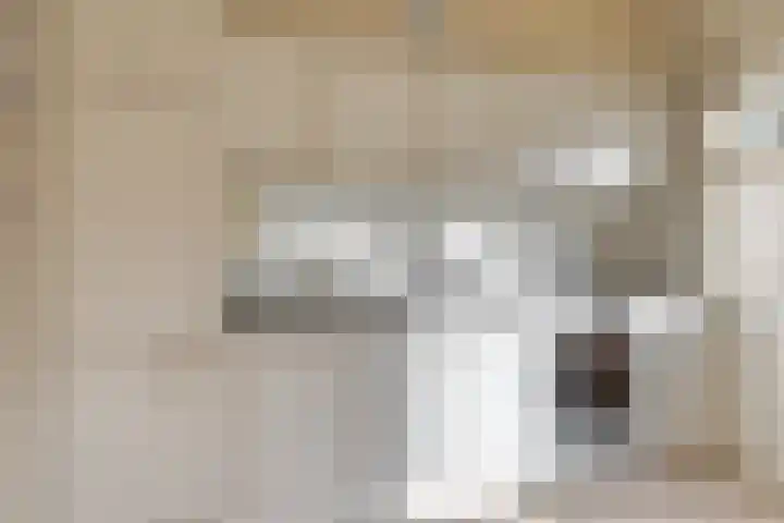 Kleine Dreef 2 Terheijden thumbnail 24
