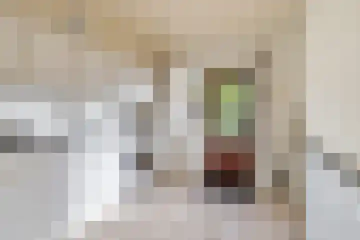 Kleine Dreef 2 Terheijden thumbnail 25