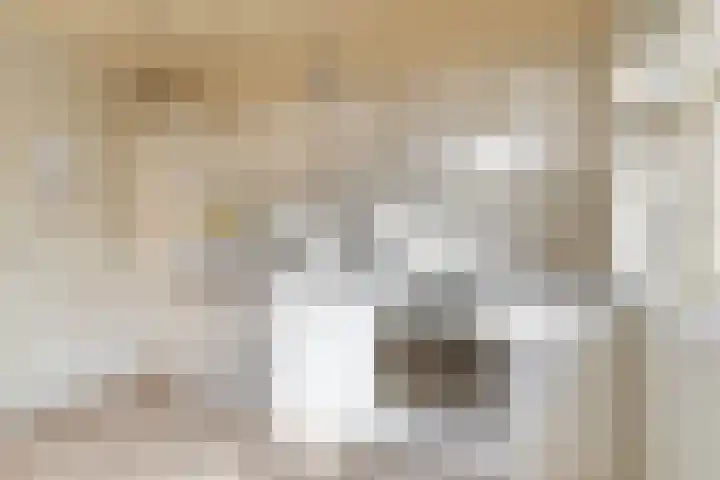 Kleine Dreef 2 Terheijden thumbnail 26
