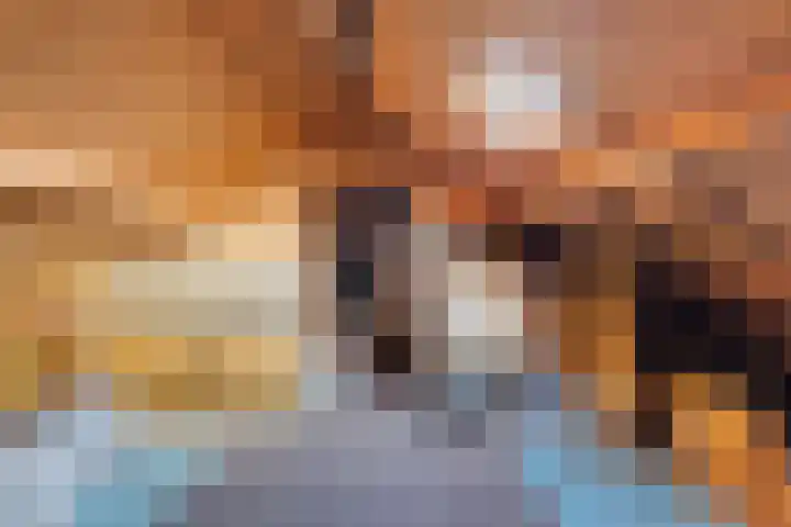 Kleine Dreef 2 Terheijden thumbnail 48