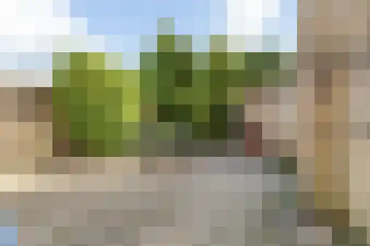 Kleine Dreef 2 Terheijden thumbnail 49