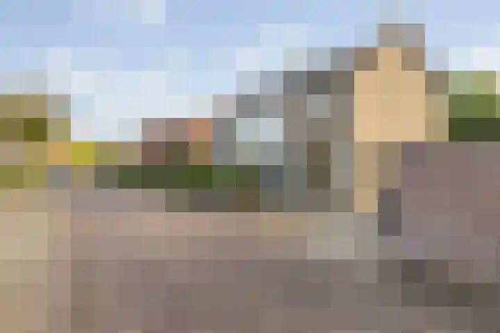 Kleine Dreef 2 Terheijden thumbnail 7