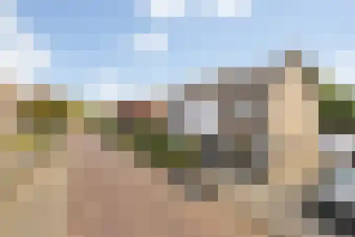 Kleine Dreef 2 Terheijden thumbnail 8
