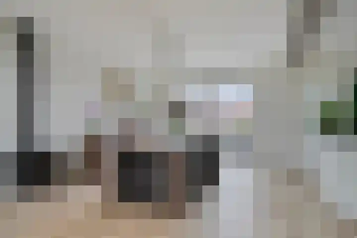 Kleine Dreef 23 Veldhoven thumbnail 10