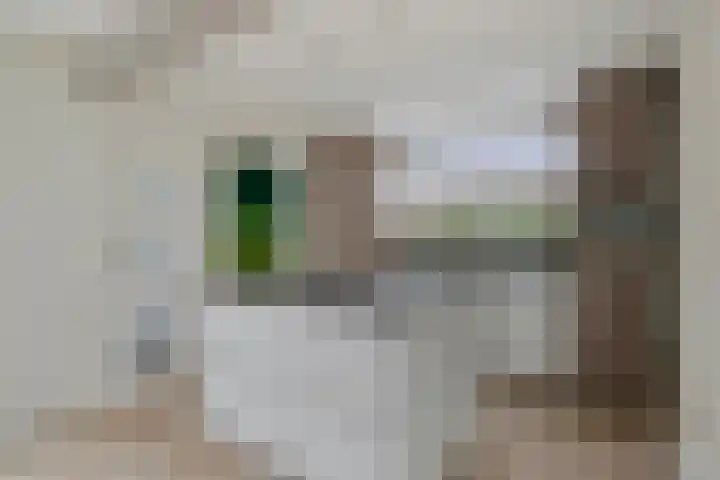 Kleine Dreef 23 Veldhoven thumbnail 11