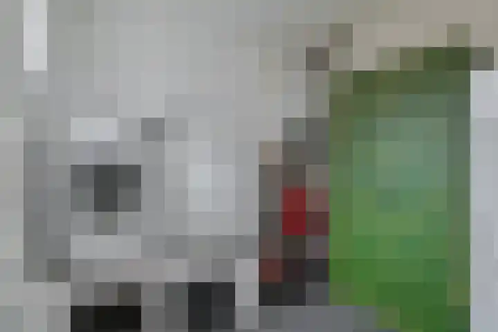 Kleine Dreef 23 Veldhoven thumbnail 14